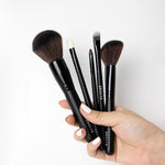 Makeup Brush Powder BR001